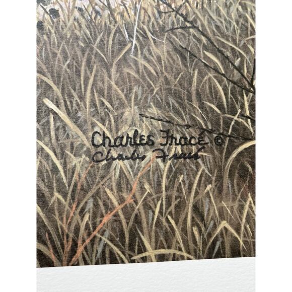 1983 Charles Fracé “A Moment’s Rest, Cheetah” Signed Large Print w/COA 32”X24” - Picture 9 of 10